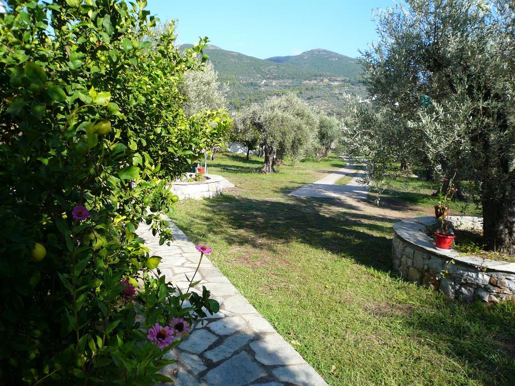 Liossis Rooms & Apartments Skópelos Eksteriør bilde