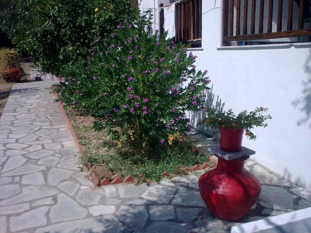 Liossis Rooms & Apartments Skópelos Eksteriør bilde